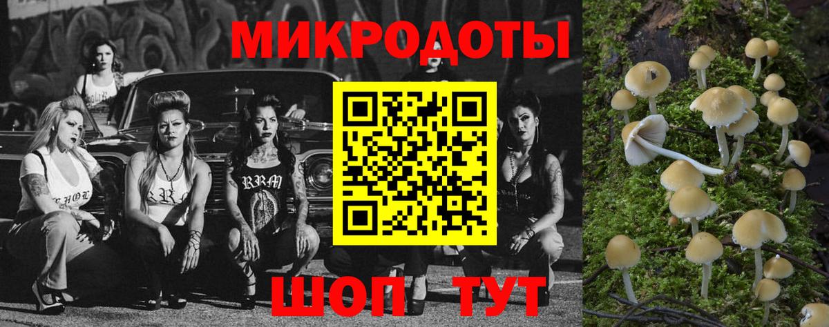 Александров  Галлюциногенные грибы прущие грибы  Вход с VPN 